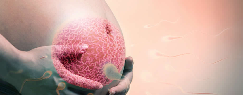 Riflessologia in aiuto per casi di infertilità e nella gravidanza
